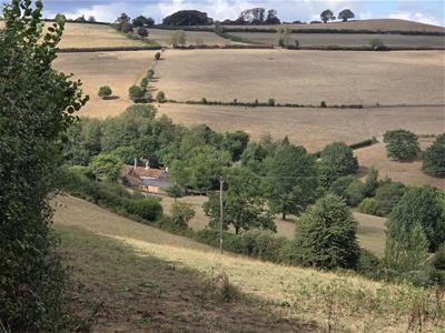 Picture 34